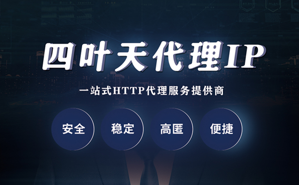 【西宁代理IP】代理ip客户端使用教程