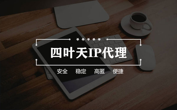 【西宁代理IP】如何快速搭建代理IP？怎么检查代理的效果？